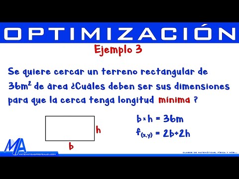 Optimización del tamaño del DOM: Estrategias para evitar la sobrecarga.