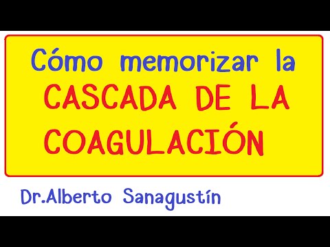 El proceso de funcionamiento de la cascada: Una guía detallada