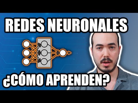 El funcionamiento de las IA de imágenes: una visión detallada de su operatividad.