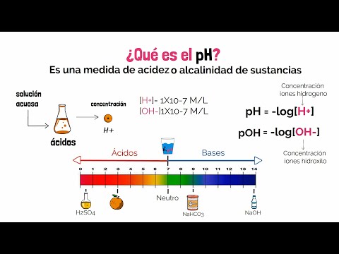 La Ciencia Detrás del pH y su Funcionamiento