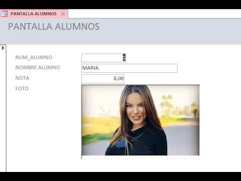 Guía paso a paso para insertar una imagen en un campo de entrada