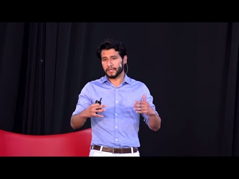 Un enfoque profundo: El funcionamiento de una organización inteligente explicado en detalle