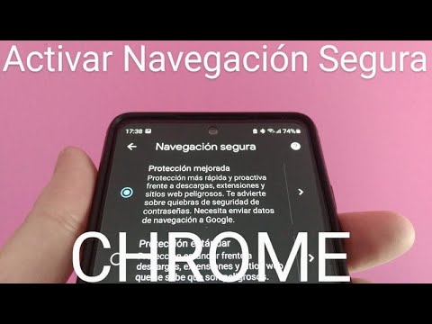 Guía para habilitar el modo seguro en tu navegador web