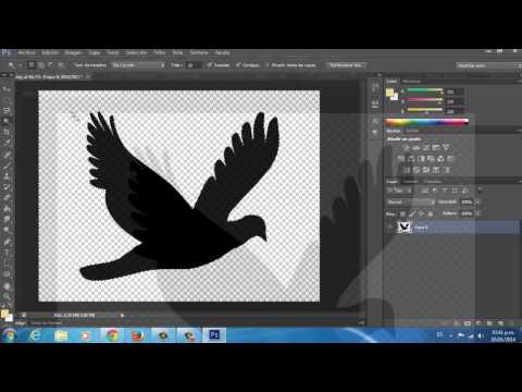 Cómo guardar una imagen en formato PNG sin fondo en Photoshop: Guía paso a paso