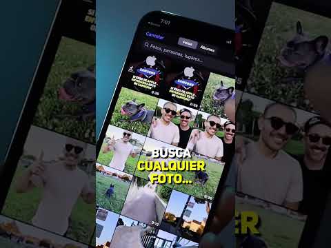 Guía completa para crear un GIF en un navegador: paso a paso y sin complicaciones