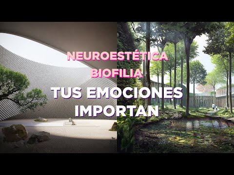 El impacto de la arquitectura en las emociones: una exploración detallada.