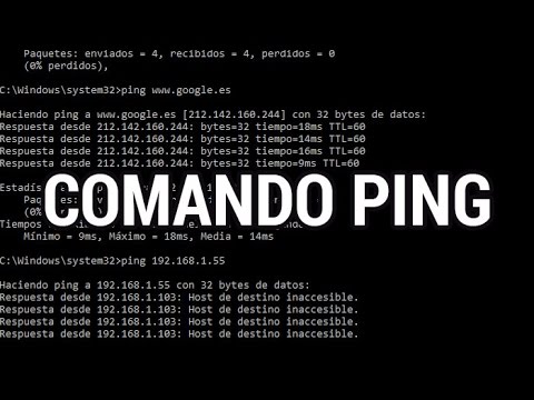 Realizando una verificación de conexión a través de un ping a Google