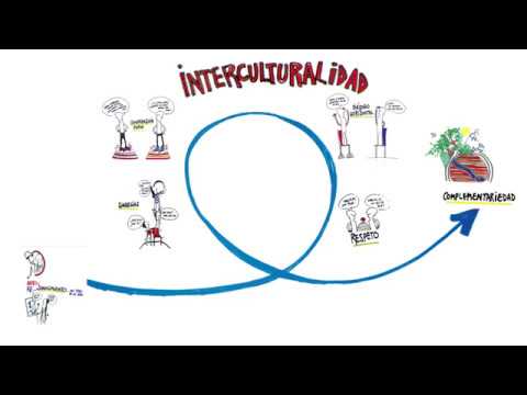 El uso de términos despectivos en el contexto de las relaciones interculturales