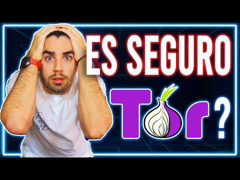 Guía de privacidad en línea: Navegación anónima y segura en la red
