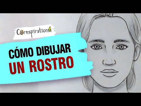 Guía práctica para crear un boceto detallado de una cara: paso a paso.