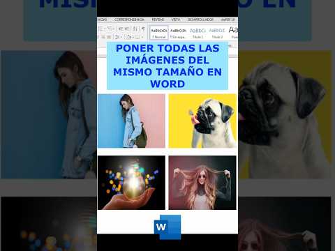 Guía detallada para redimensionar una imagen en Word