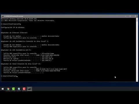 Realizando un ping a una página web: Guía paso a paso