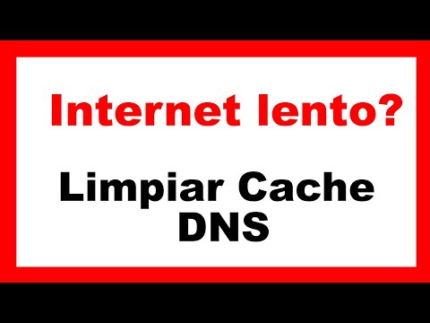 Guía para realizar la limpieza del DNS de manera efectiva