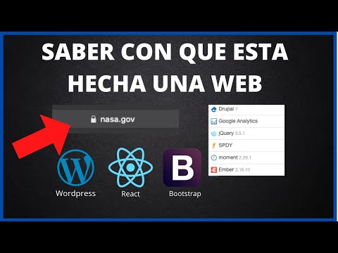 ¿Qué es una página web y cómo identificarla correctamente?