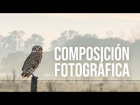Guía definitiva para capturar imágenes de obras: consejos y técnicas de fotografía profesional Guía definitiva para capturar imágenes de obras: consejos y técnicas de fotografía profesional