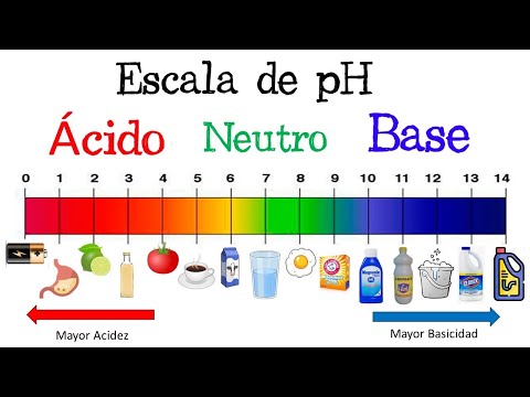 Guía completa para determinar niveles de pH en el agua: métodos y recomendaciones