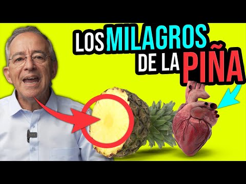 El nombre científico y características de la deliciosa fruta tropical conocida como la piña dulce