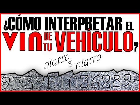 Cómo interpretar el número de identificación del vehículo (VIN): guía completa y detallada
