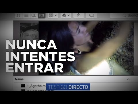 Explorando la estructura oculta: Descubriendo el código detrás de una página web