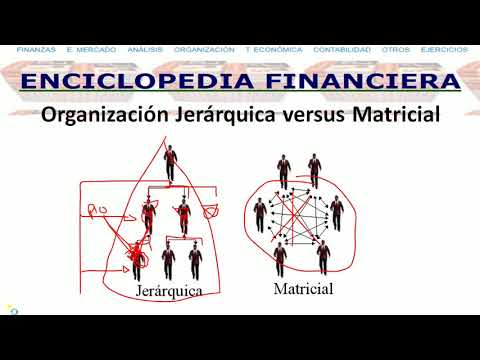 Guía completa sobre estructura y jerarquía: concepto y aplicaciones