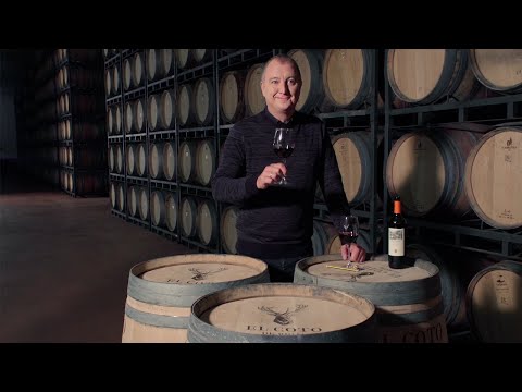Descubre los Mejores Lugares para Añejar un Vino