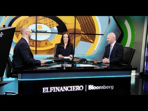 Guía completa sobre el rol del CEO y el CFO en una empresa