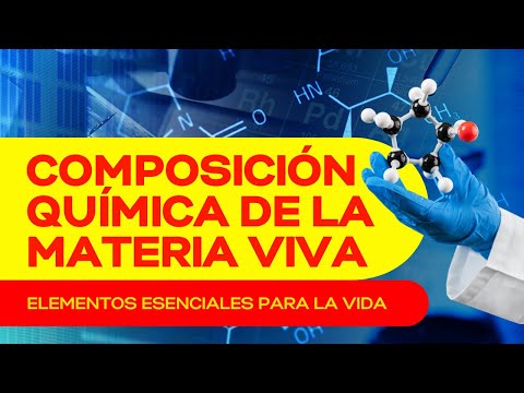 Descubre los componentes esenciales: ¿Cuáles son los principales?