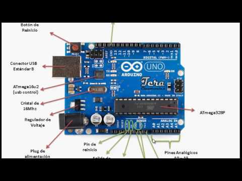 Todo lo que necesitas saber sobre la frecuencia de uso de un Arduino