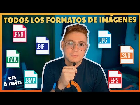 Comparación entre formatos de imagen: WebP vs JPG - ¿Cuál elegir para optimizar tus imágenes?