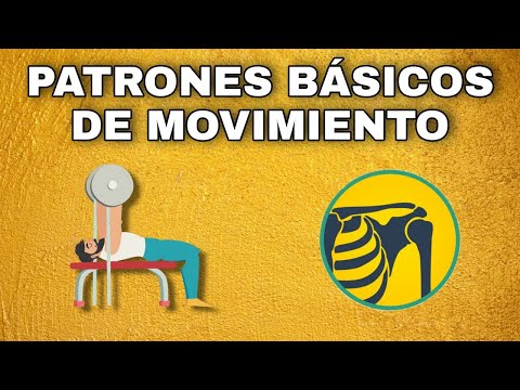 Descubre los 4 patrones básicos de movimiento clave para mejorar tu rendimiento