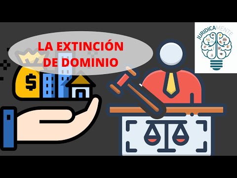 Acción de Extinción de Dominio: Todo lo que necesitas saber