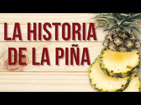 Descubre el origen del nombre piña y su curiosa historia