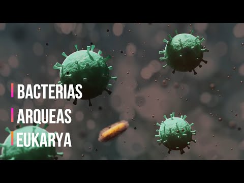 Descubre los dominios propuestos por Carl Woese: una mirada a la taxonomía microbiana