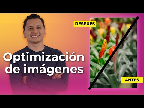 ¿Los favicons deben ser cuadrados? Descubre cómo optimizar tu imagen de marca