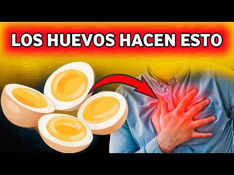 Descubre qué es la 20 y cómo te puede beneficiar