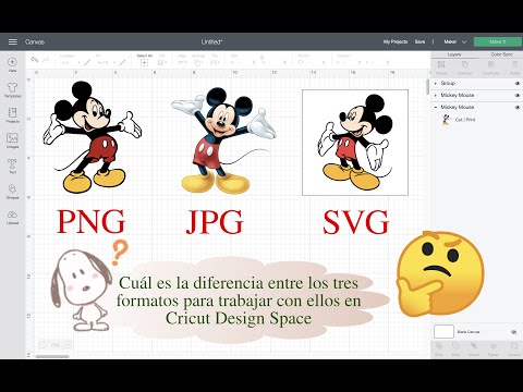Descubre todo sobre la funcionalidad de PNG y su utilidad en el mundo digital