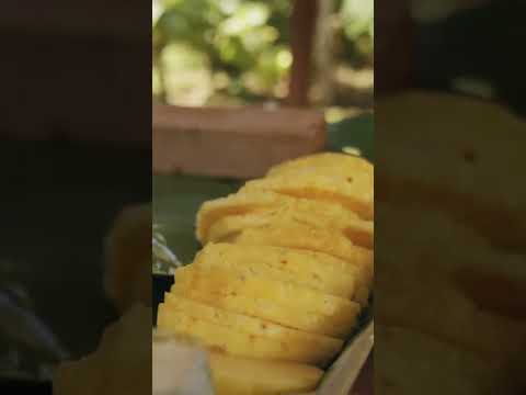 Descubre los increíbles lugares donde la piña tropical crece de forma natural.