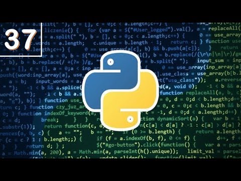 Descubre la frecuencia de ejecución del bucle while en programación