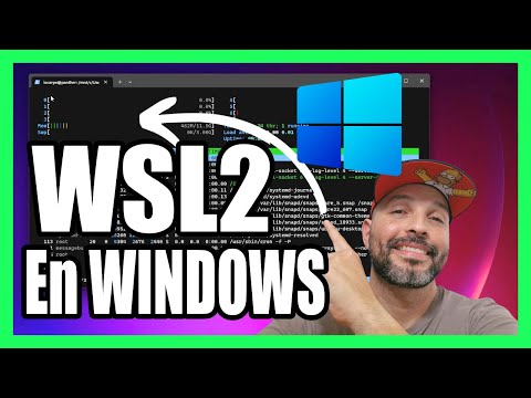 Todo lo que necesitas saber sobre VST Windows: guía completa