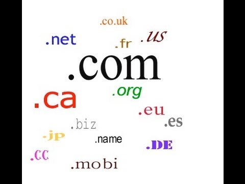 Descubre la duración promedio de los nombres de dominio en el mundo digital