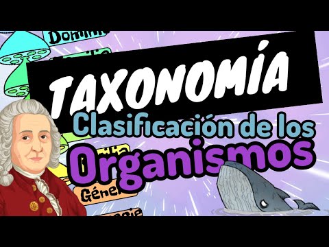 Guía completa sobre dominio filogenético: Definición, importancia y ejemplos