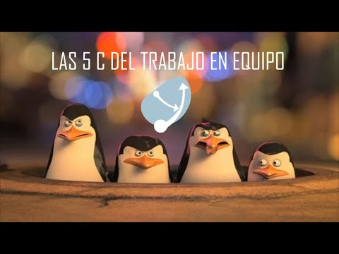 5 competencias que no debes delegar en ningún momento