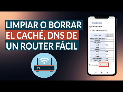 ¿Cómo la limpieza de DNS puede borrar por completo tu historial de navegación?