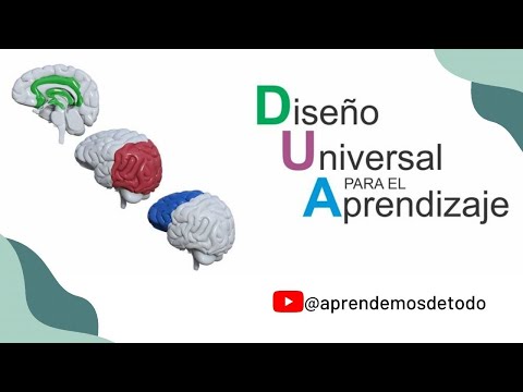 Todo lo que necesitas saber sobre el cast en DUA: definición, usos y beneficios