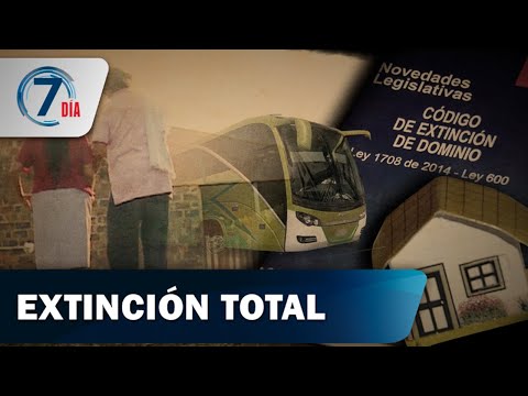 Descubre las causas de extinción de dominio: todo lo que necesitas saber