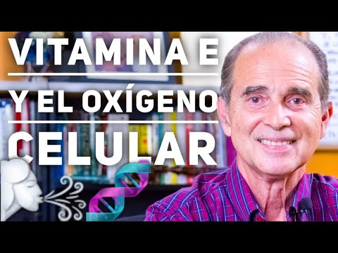 Descubre la mejor vitamina E natural para tu bienestar