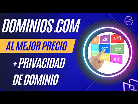 Descubre tus dominios con esta guía completa