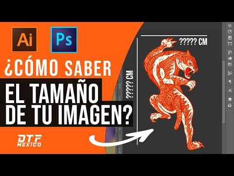 Descubre la medida exacta de pixeles de ancho ideal para tu página web