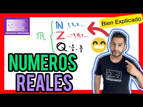 Guía completa sobre qué es una variable decimal y su importancia en matemáticas