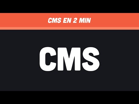 Guía completa sobre el rol de CMS Developer: funciones y habilidades esenciales